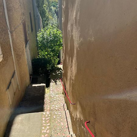 Le Tapis Vert - Loft Avec Jardin Auch Esterno foto